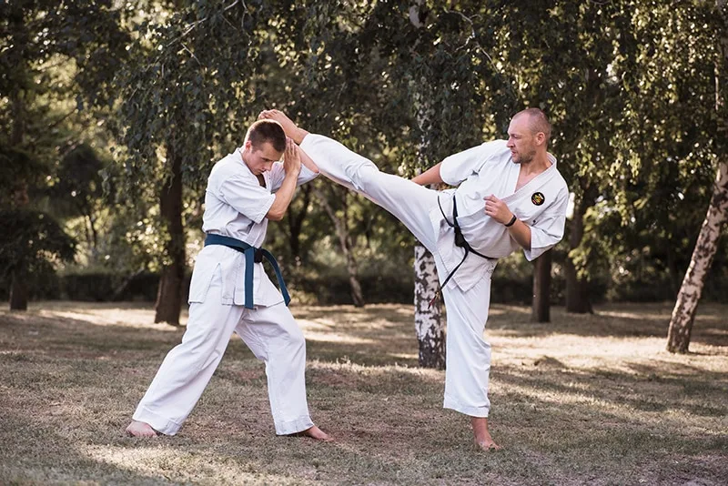 Students learning a variety of martial arts styles.