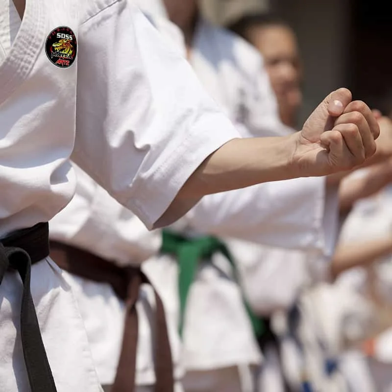 Students attending adult martial arts class.